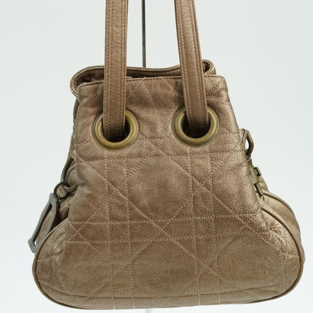 Metallic Dior Hobo Bag